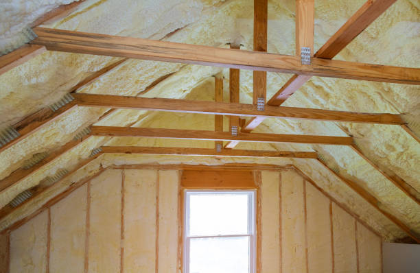 Best Energy-efficient Insulation  in Myrtle Beach, SC