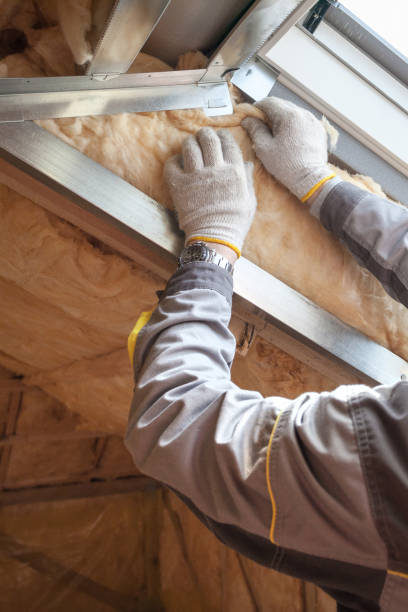 Best Attic Insulation Installation  in Myrtle Beach, SC