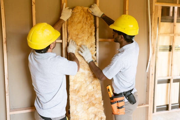 Best Insulation Replacement Services  in Myrtle Beach, SC
