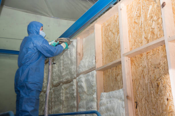 Best Insulation for New Construction  in Myrtle Beach, SC
