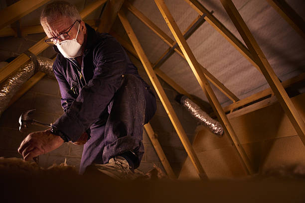 Best Wall Insulation Contractor  in Myrtle Beach, SC